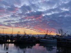 -Steveston Pizza Company (Richmond)