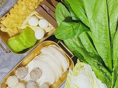 -Darling Queen·Mini·Live·House