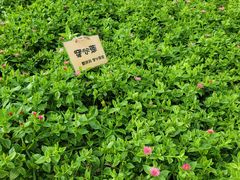-北戴河集发农业梦想王国