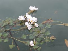 -丽江泸沽湖景区