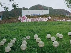 -密云玫瑰情园