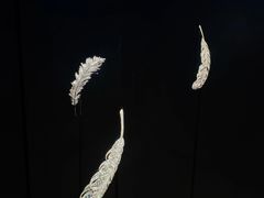 -上海当代艺术博物馆