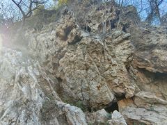 -南京老山国家森林公园
