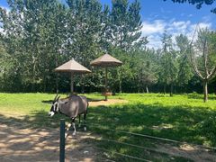 -大连森林动物园