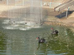 -北京鹿世界主题园