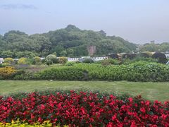 -吴山景区