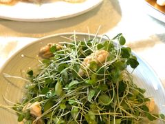 香椿苗拌桃仁-同和居(月坛店)