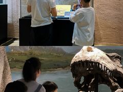 -中华赏石园