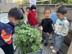 -嘉定民办实蒙早教中心