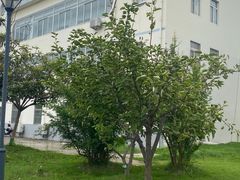 -江南大学(蠡湖校区)