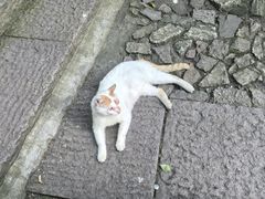 -鼓楼(西湖风景名胜区)