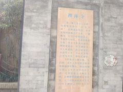 -西安曲江寒窑遗址公园