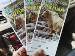 -秦皇岛野生动物园