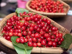 -樱桃山旅游景区