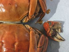-盒马鲜生(杭州运河上街店)