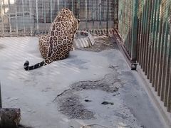 -郑州市动物园