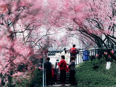 -重庆彩云湖湿地公园