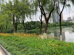 -后襄河公园