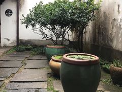 -院子餐厅·大锅菜·老杭帮(桥西直街店)