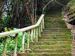 -龙泉洞(沙坪坝区)
