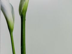 -福奈特洗衣·洗鞋·奢侈品护理(长阳路店)