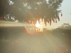 -南山图书馆(常兴路店)