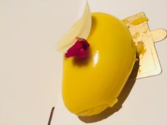 -福州泰禾铂尔曼酒店·大堂酒廊