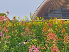 -中国天府农业博览园