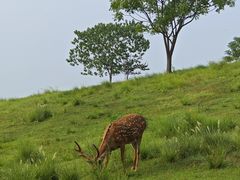 -良渚古城遗址公园