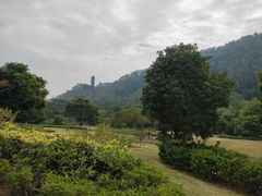 -南沙蒲洲花园