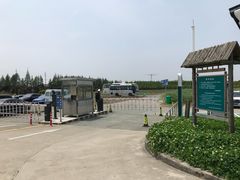 -上海都市菜园