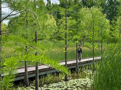 -昆山城市生态森林公园