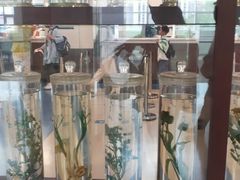 -北京中医药大学东直门医院(通州院区)
