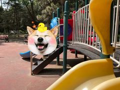 -大兴滨河森林公园