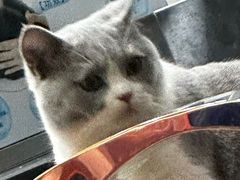 -比格比萨自助(万柳华联店)