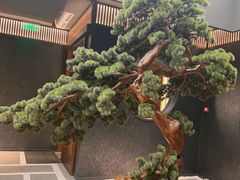 -神奈川·小京