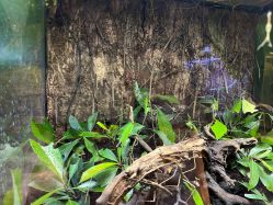 -酷嗒动物文化乐园(cutezoo西溪乐天城店)