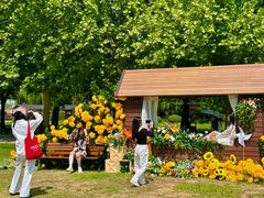 -洛阳市隋唐城遗址植物园