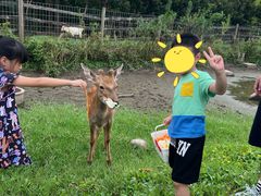 -前小桔亲子创意农场·草莓采摘·露营烧烤