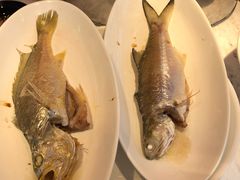 大黄鱼-陈鹏鹏潮汕菜(欢乐海岸 海边景观店)