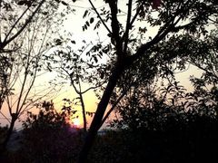 android_upload_pic-天目湖涵田度假村