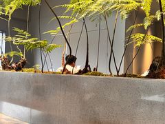 大堂-来回·咖啡(钟村咖啡豆店)