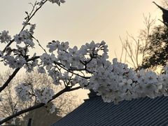 -南京城墙景区