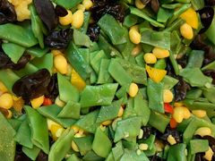 -虹桥机场国航贵宾室v8