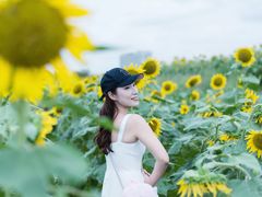 -光明小镇欢乐田园