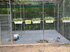 -福建鲤鱼洲酒店