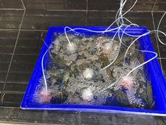 -大螃蟹海鲜餐厅