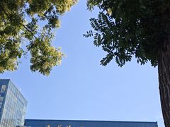 -蓬莱欧乐堡海洋极地世界