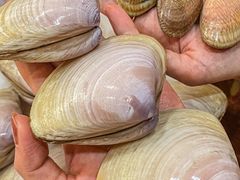 -凯华海鲜火锅·传承三十六年