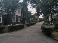 -华西村